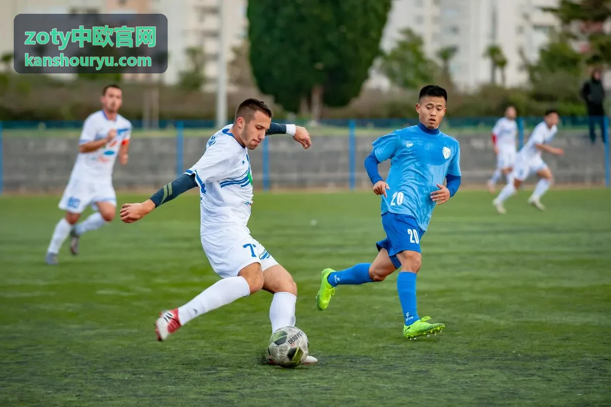 zoty中欧官网 对接流程与支持栏目配图