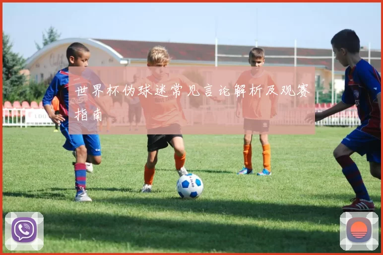 世界杯伪球迷常见言论解析及观赛指南