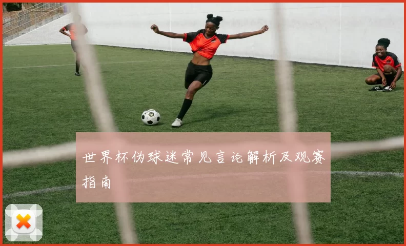 世界杯伪球迷常见言论解析及观赛指南