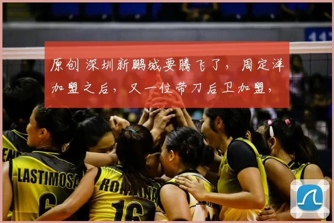 原创 深圳新鹏城要腾飞了，周定洋加盟之后，又一位带刀后卫加盟，难道与奥斯卡推荐有关？