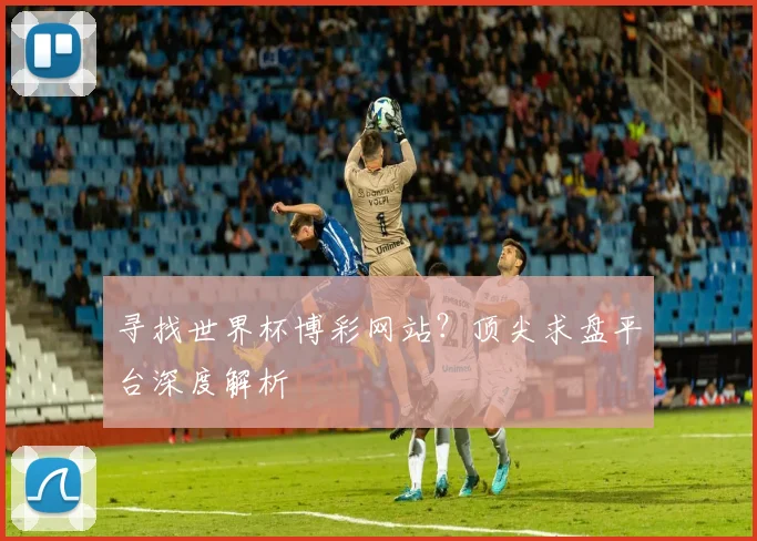 寻找世界杯博彩网站？顶尖求盘平台深度解析